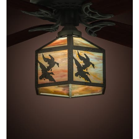 Alternate Image