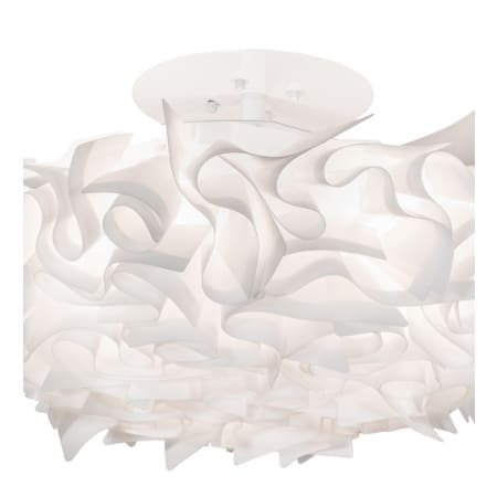 Alternate Image