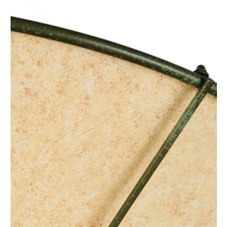 Alternate Image
