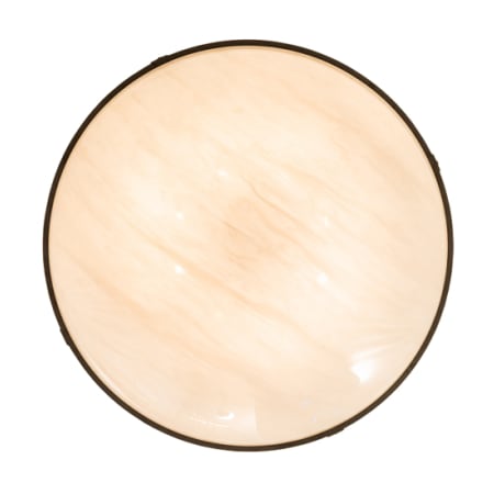 Alternate Image