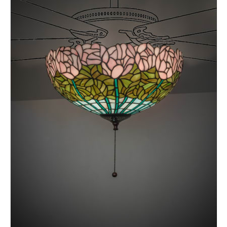 Alternate Image