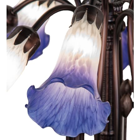 Alternate image