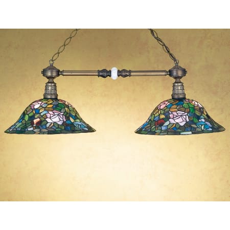 Meyda Tiffany Tiffany Rosebush 2 Light 38" Wide Linear Chandelier with Tiffany Glass Shade Tiffany Glass