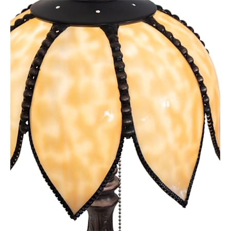 Alternate Image