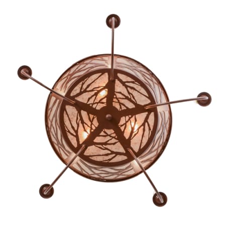 Alternate Image
