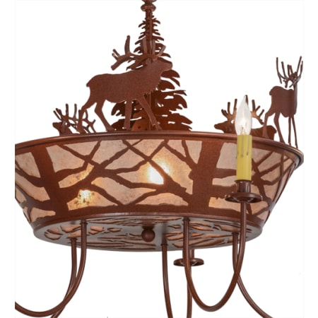 Alternate Image