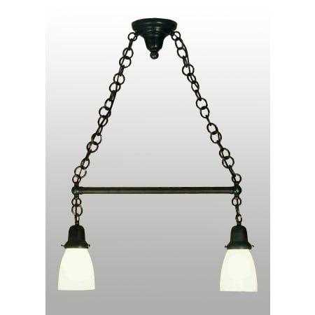 Meyda Tiffany Oyster Bay 2 Light 24" Wide Linear Chandelier with White Glass Shade N/A