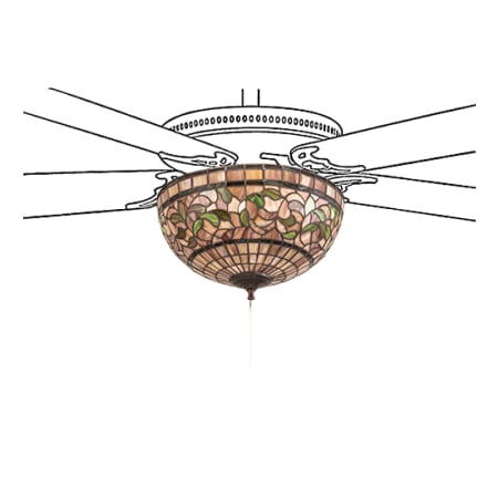 Alternate Image