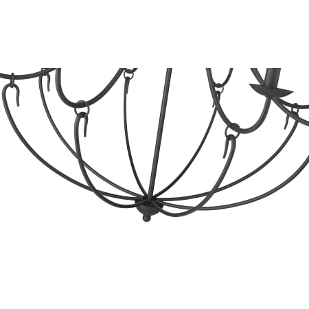 Alternate Image
