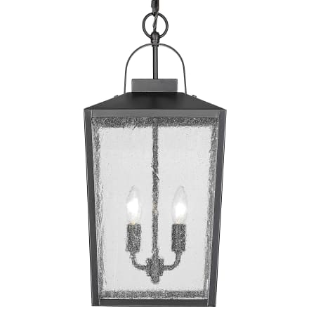 Millennium Lighting Devens 2 Light 10" Wide Outdoor Pendant Powder Coat Black