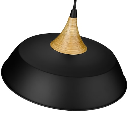 Alternate View