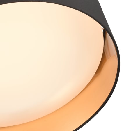 Alternate Image