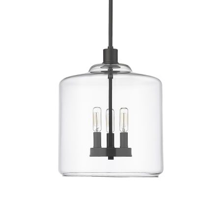 Millennium Lighting Asheville 3 Light 12" Wide Pendant Matte Black