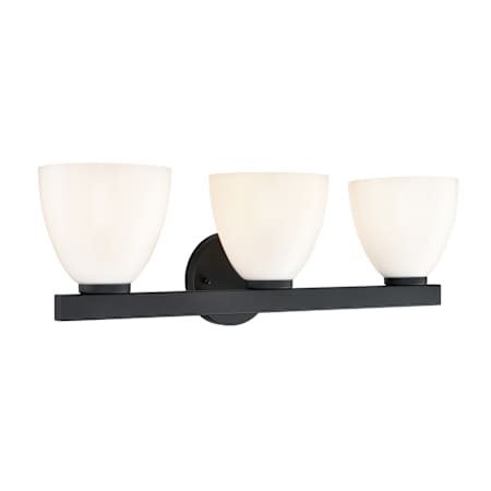 Millennium Lighting Apria 3 Light 24" Wide Vanity Light Matte Black