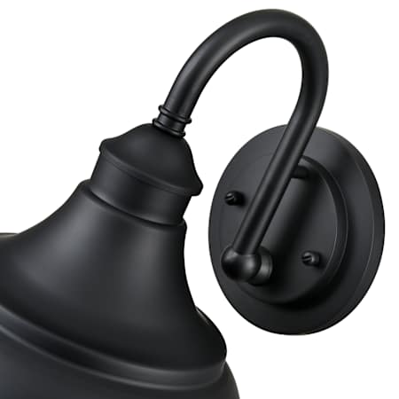 Alternate Image