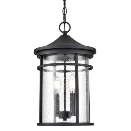 Millennium Lighting Namath 2 Light 11" Wide Outdoor Pendant Textured Black