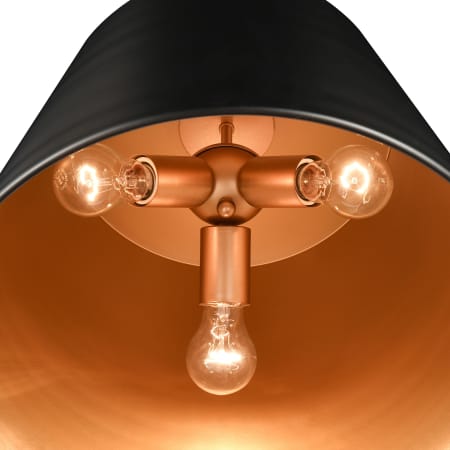 Alternate Image