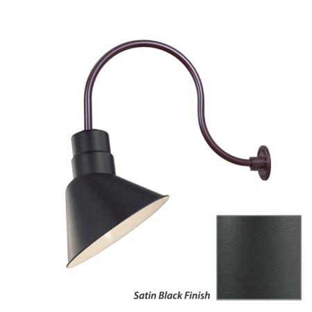 Millennium Lighting-RAS10-RGN24-Fixture with Satin Black Finish Swatch