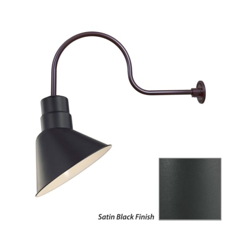 Millennium Lighting-RAS10-RGN30-Fixture with Satin Black Finish Swatch