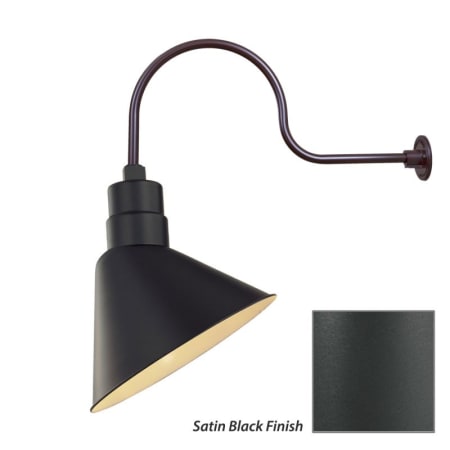 Millennium Lighting-RAS12-RGN30-Fixture with Satin Black Finish Swatch