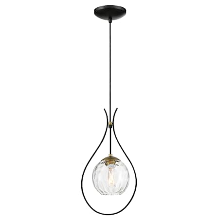 Pendant with Canopy