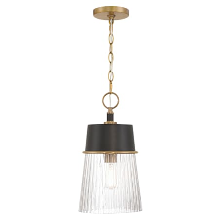 Pendant with Canopy