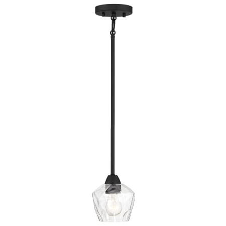 Pendant with Canopy - Coal