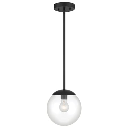 Pendant with Canopy - Coal