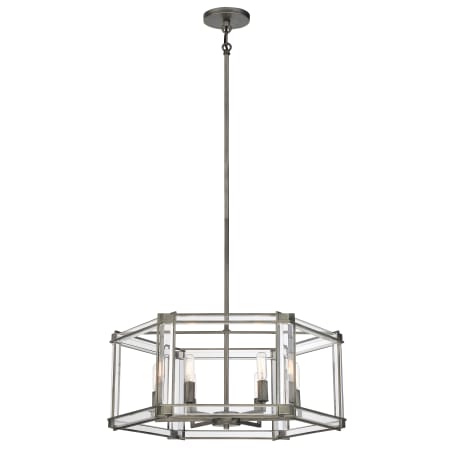 Light with Canopy
