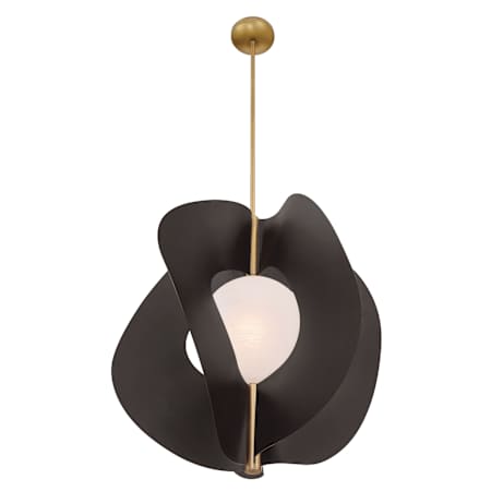Pendant with Canopy - DB-LB
