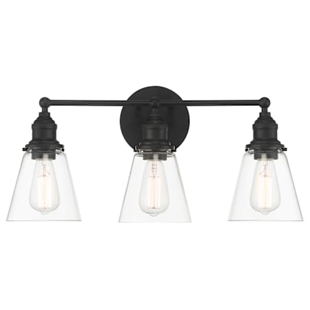 Minka Lavery Barwell 3 Light 24" Wide Vanity Light with Clear Glass Shades Coal