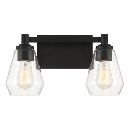 Minka Lavery Clarity 2 Light 16" Wide Vanity Light with Clear Glass Shades Coal