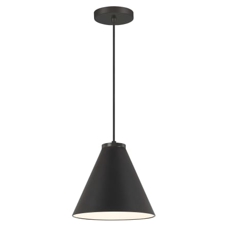 Pendant with Canopy - CL