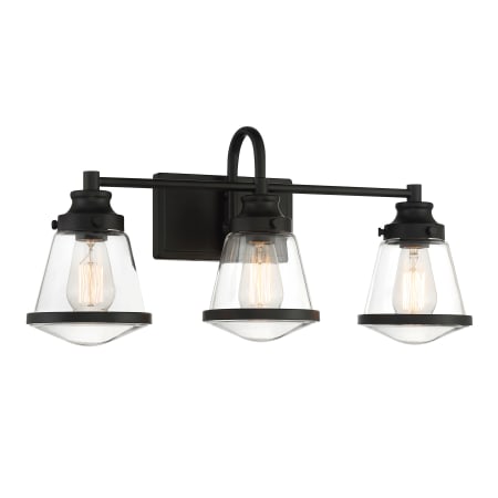 Minka Lavery Mannsdale 3 Light 24" Wide Vanity Light with Clear Glass Shades Coal