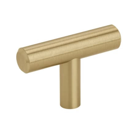 Champagne Bronze