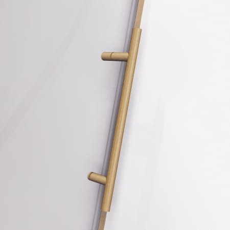 Alternate Image