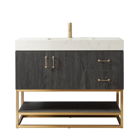 Miseno Alistair 42" Free Standing Single Basin Vanity Set with Cabinet and Composite Stone Vanity Top - No Mirror North American Black Oak