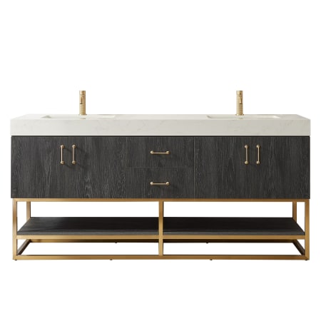Miseno Alistair 72" Free Standing Double Basin Vanity Set with Cabinet and Composite Stone Vanity Top - No Mirror North American Black Oak
