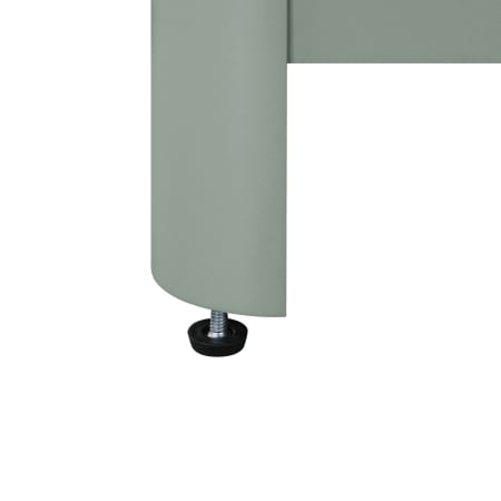 Alternate Image
