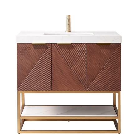 Miseno Mahon 36" Free Standing Single Basin Vanity Set with Cabinet and Composite Stone Vanity Top North American Deep Walnut
