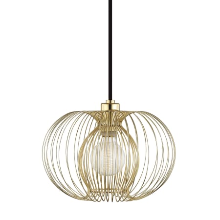 Mitzi Jasmine Single Light 12" Wide Pendant Polished Brass