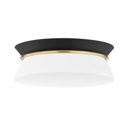 Mitzi Cath 2 Light 13" Wide Flush Mount Ceiling Fixture Aged Brass / Black