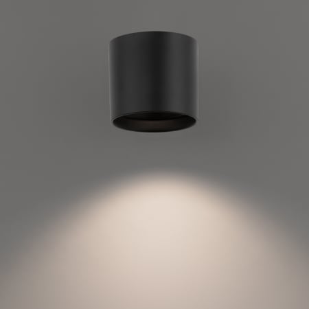 Alternate Image