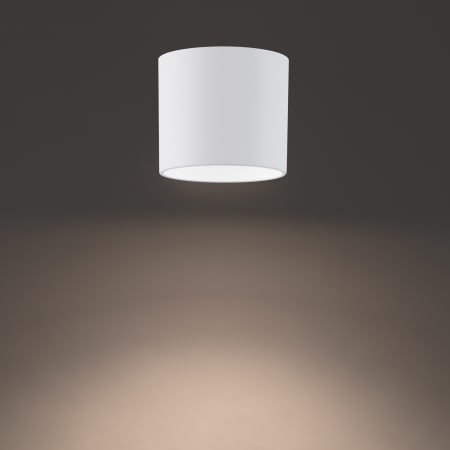 Alternate Image