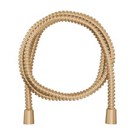 Moen 59" Hand Shower Hose Bronzed Gold