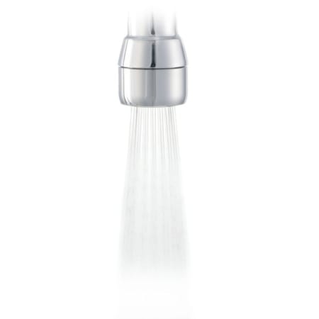 Moen 0.5 GPM Rosetta Spray Aerator Chrome