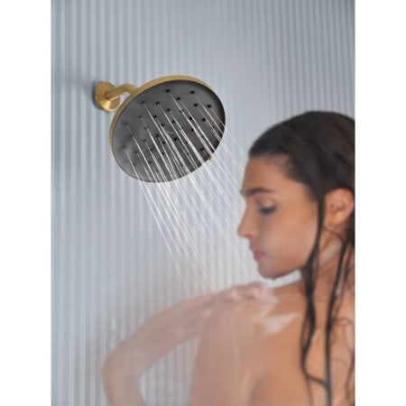 Alternate Image