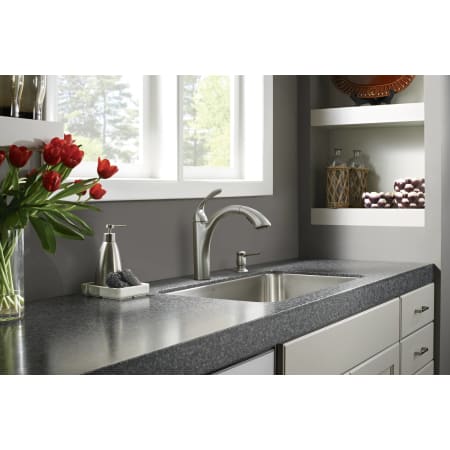 Installed Faucet View
