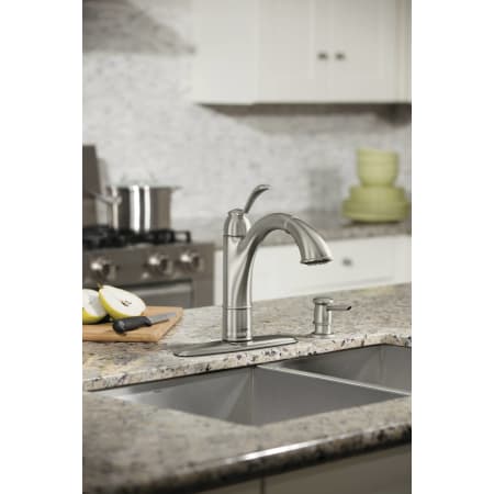 Installed Faucet View