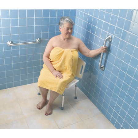 Grab Bar in Use